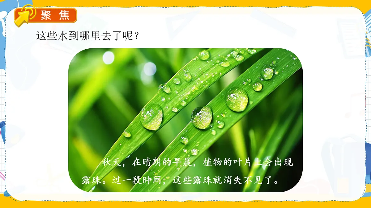 17389401第4页