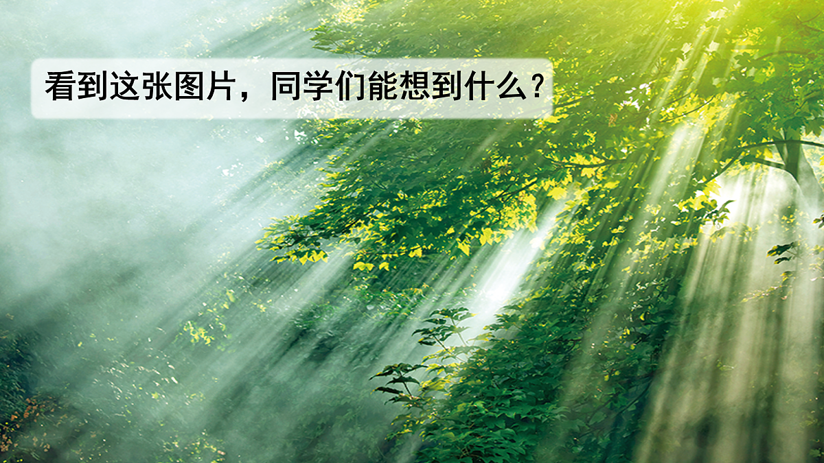 17390440第2页