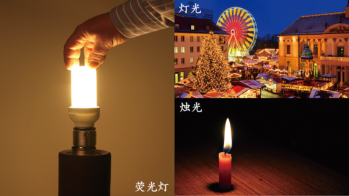 17390440第5页