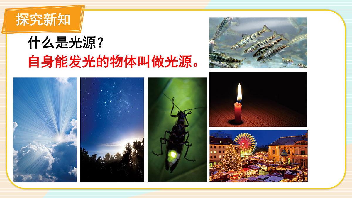 17390440第7页