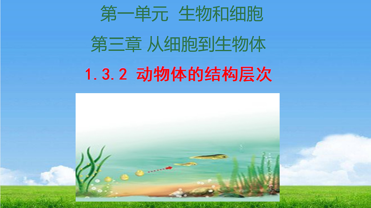 17390490第1页