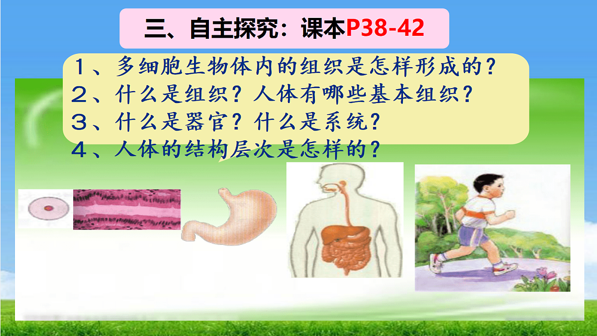 17390490第5页