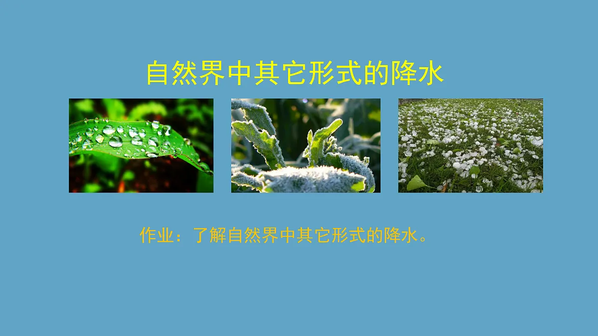 17391648第7页