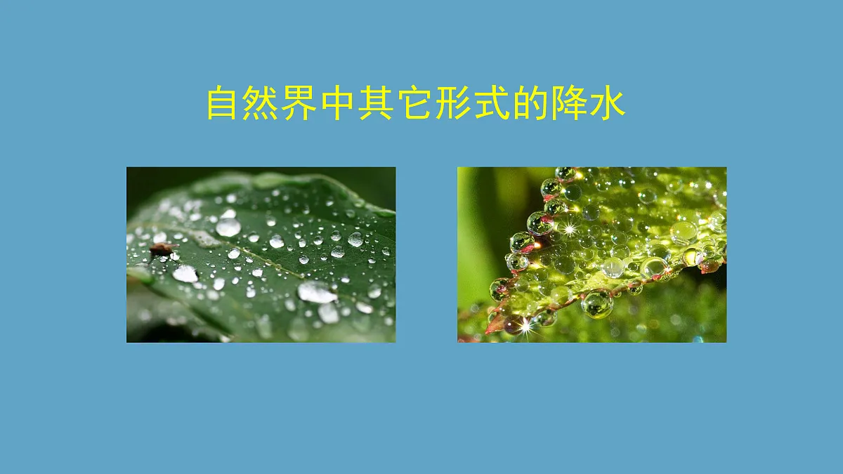 17391648第8页