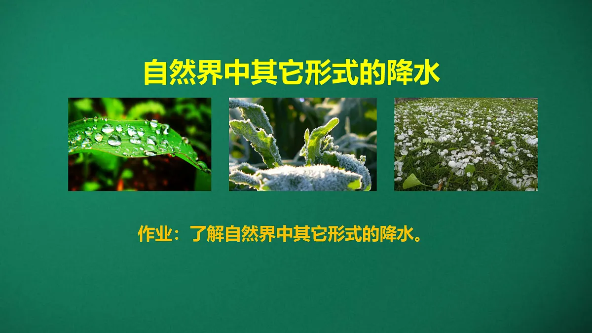 17391696第7页