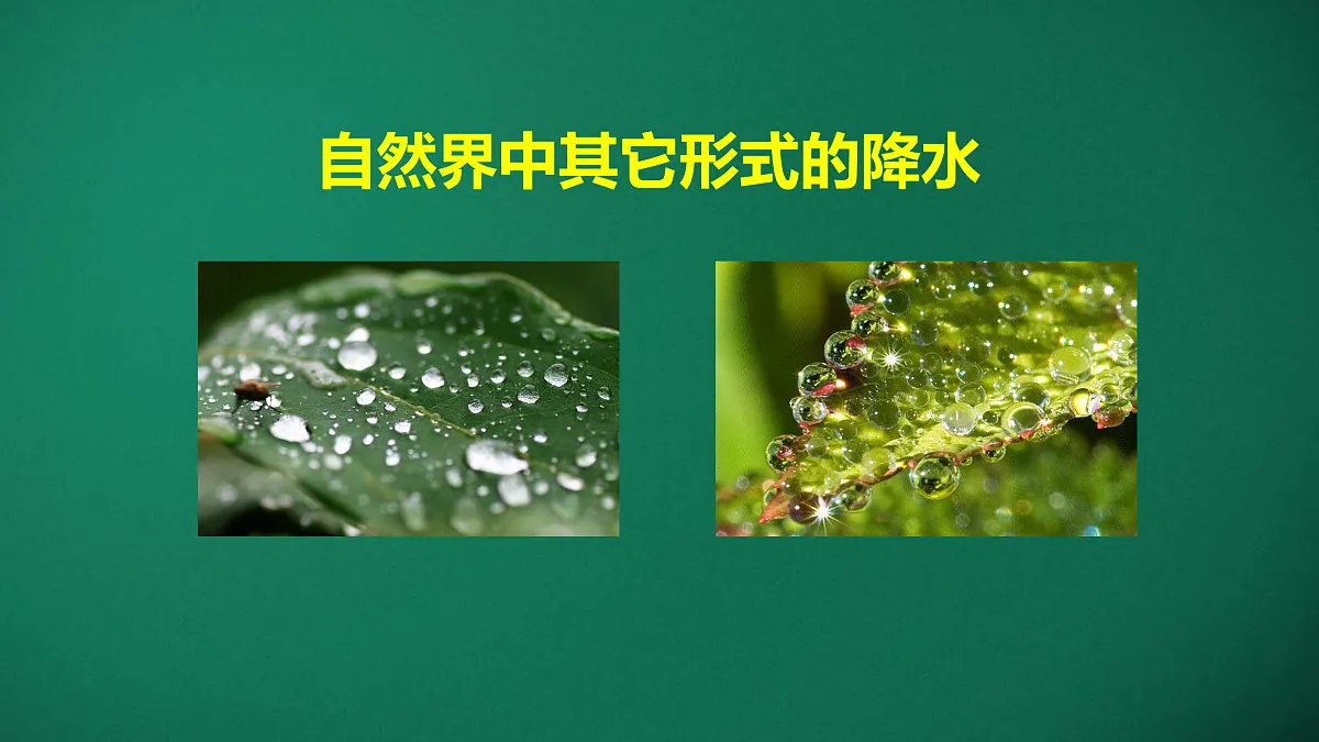 17391696第8页