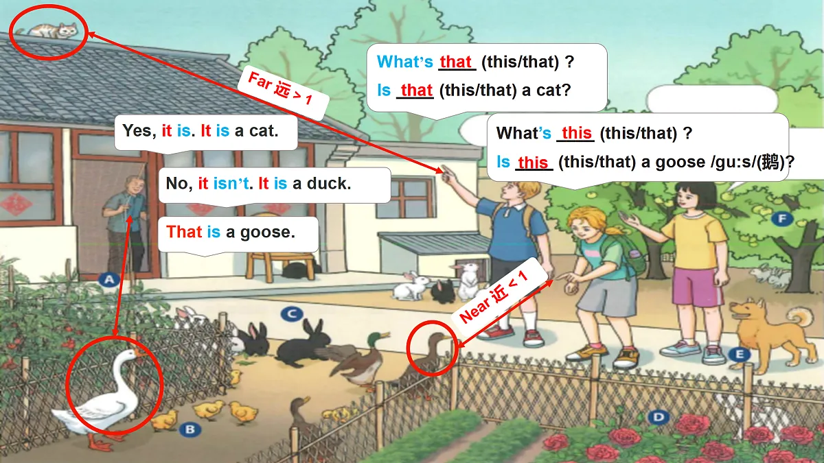 17391852第5页
