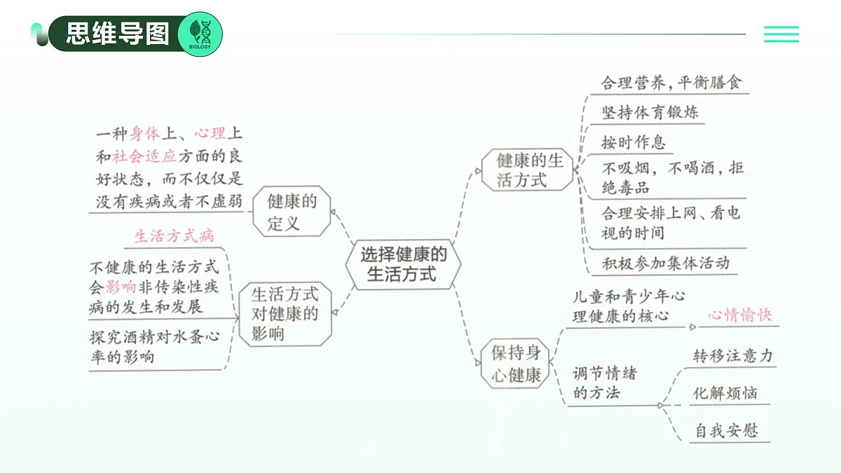 17393377第2页