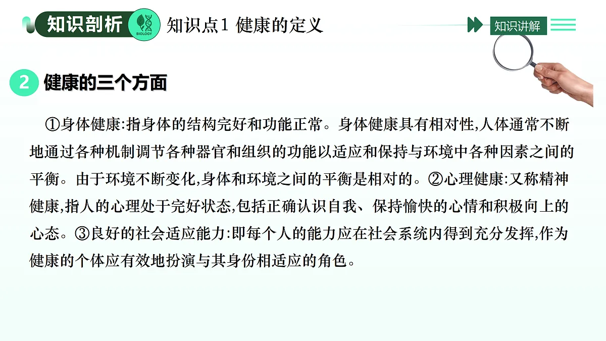 17393377第4页