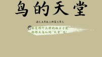 统编版（2024）五年级上册鸟的天堂评课课件ppt