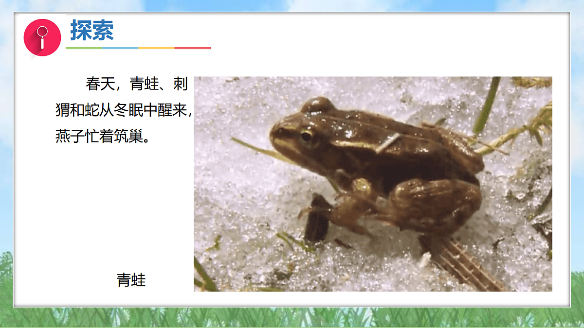17394136第6页