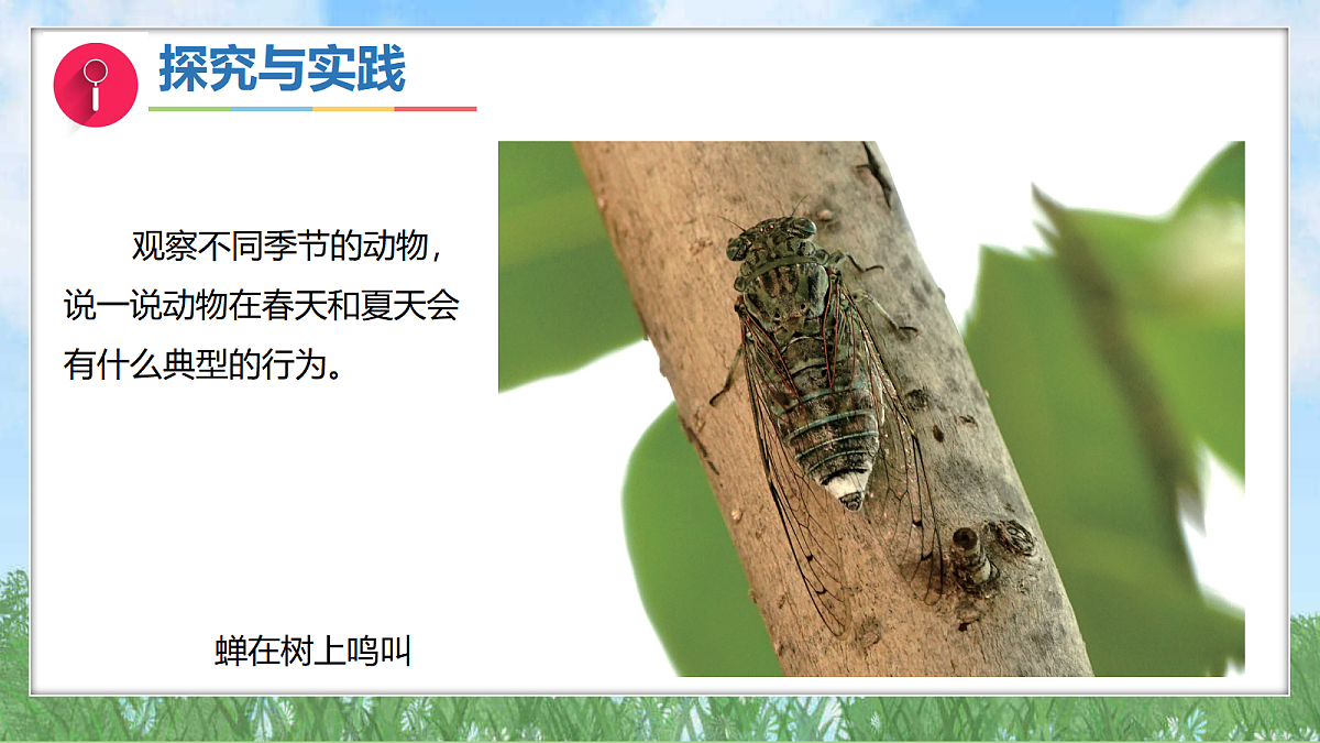 17394136第8页