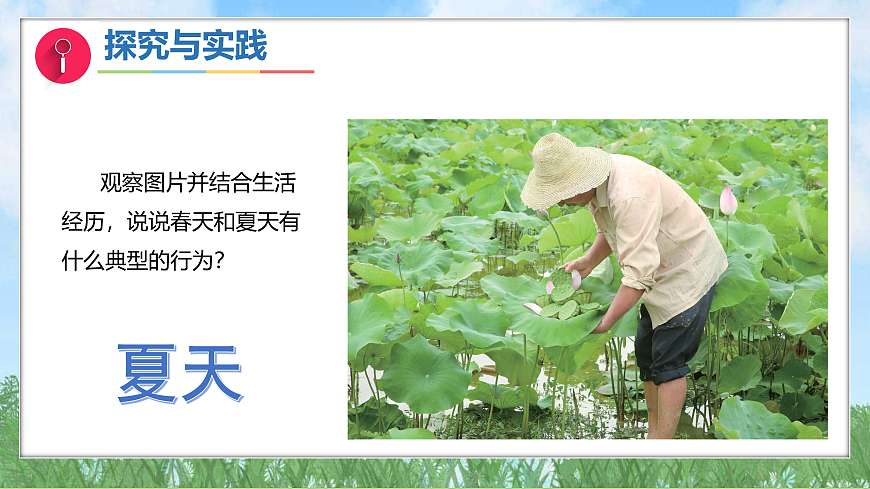 17394137第8页