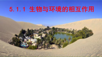初中生物人教版（2024）八年级上册（2024）第一节 生物与环境的相互作用获奖ppt课件