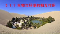 初中生物人教版（2024）八年级上册（2024）第一节 生物与环境的相互作用获奖ppt课件