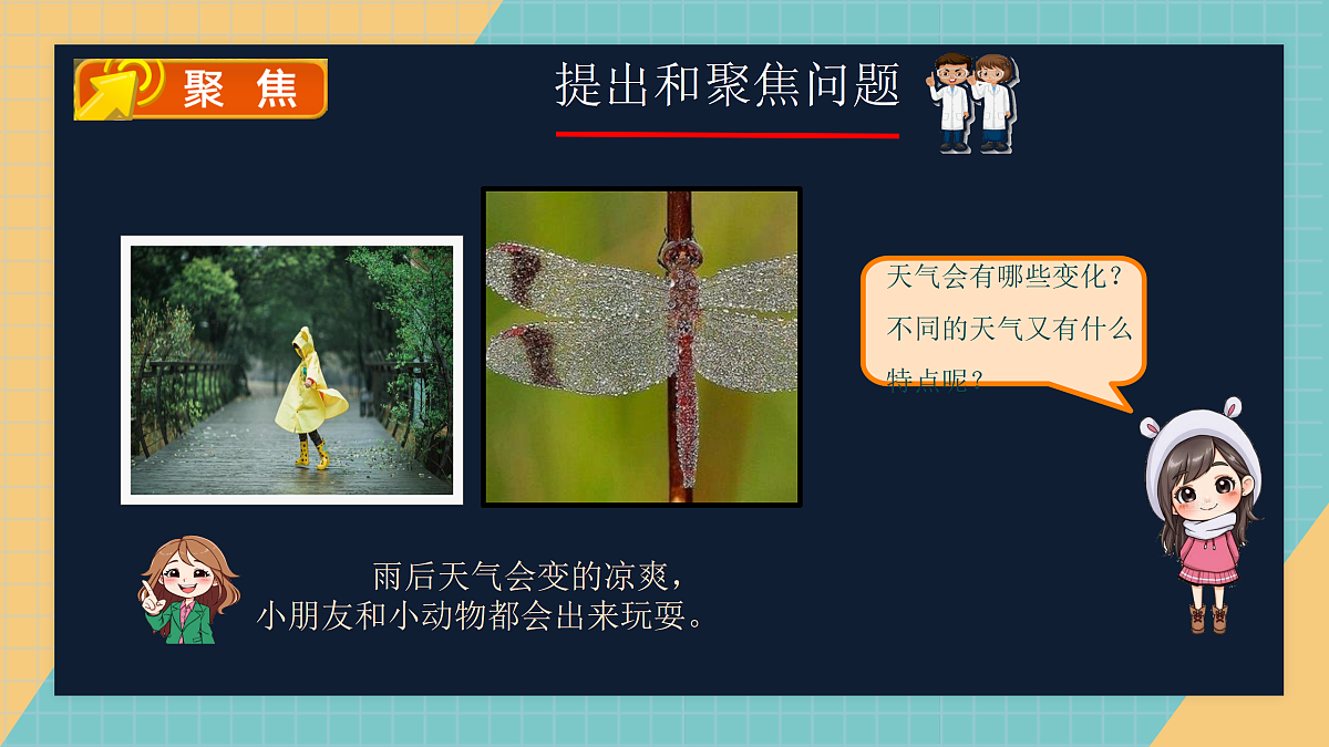 17397128第2页