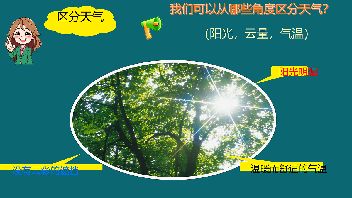 17397128第5页