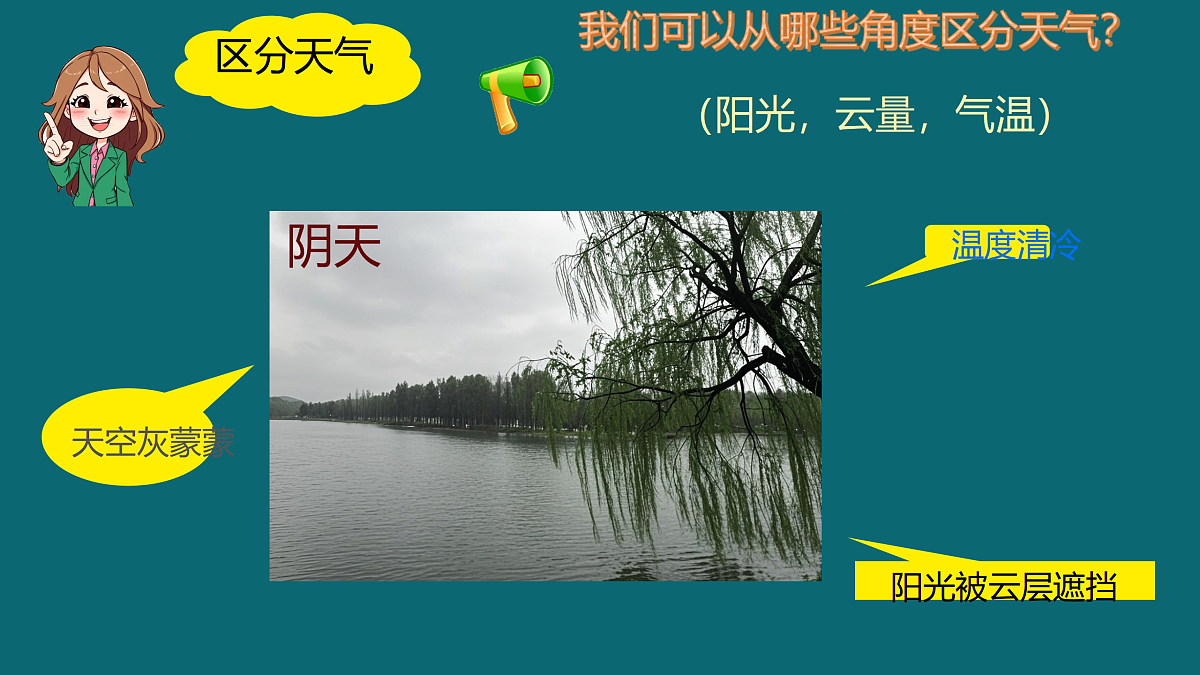 17397128第6页