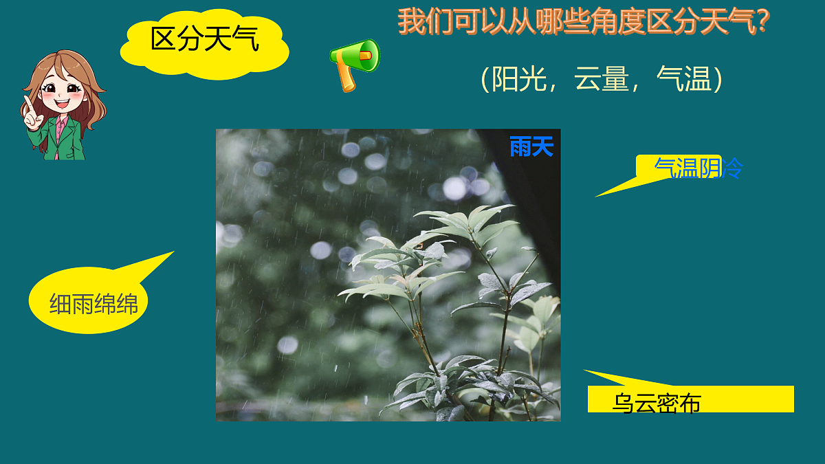 17397128第7页