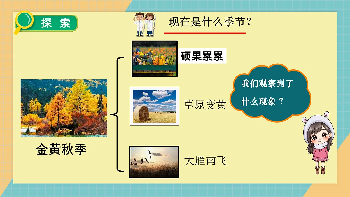 17397175第3页