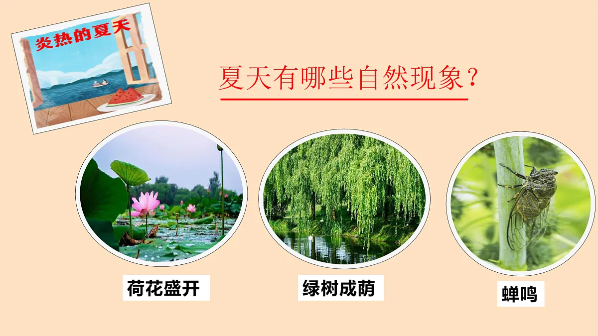 17397175第4页