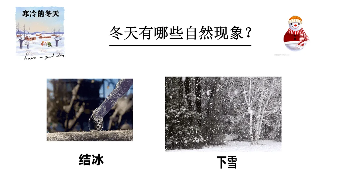 17397175第5页