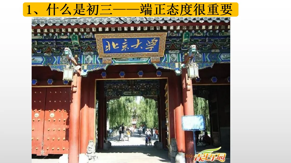 17397263第6页