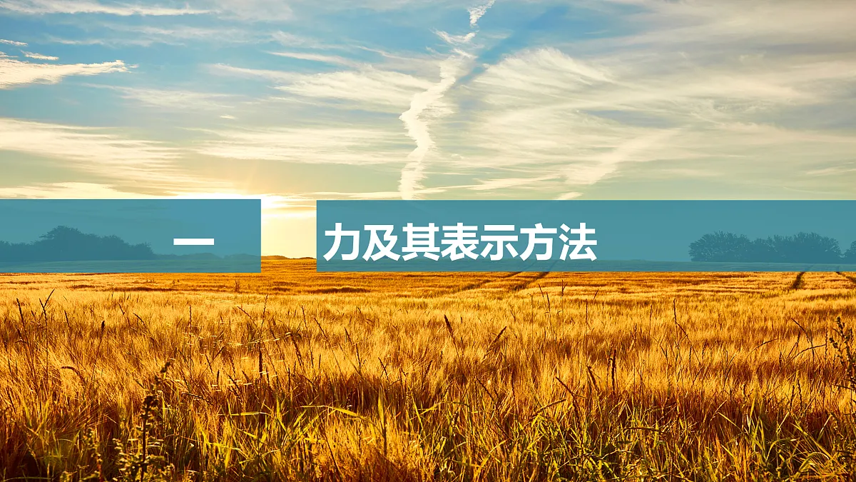 17398085第4页