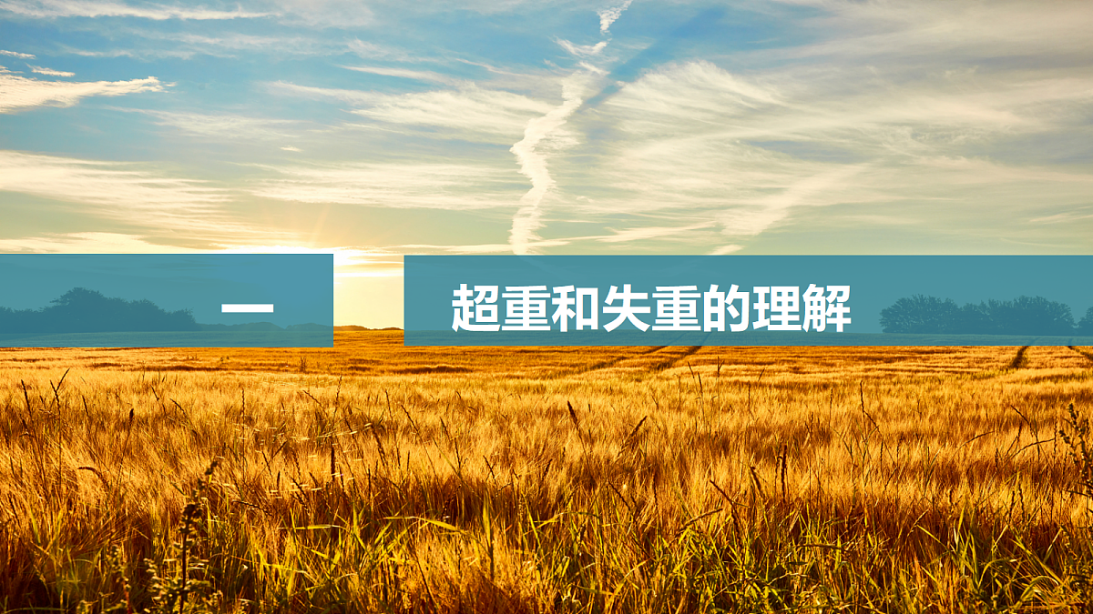 17398120第4页