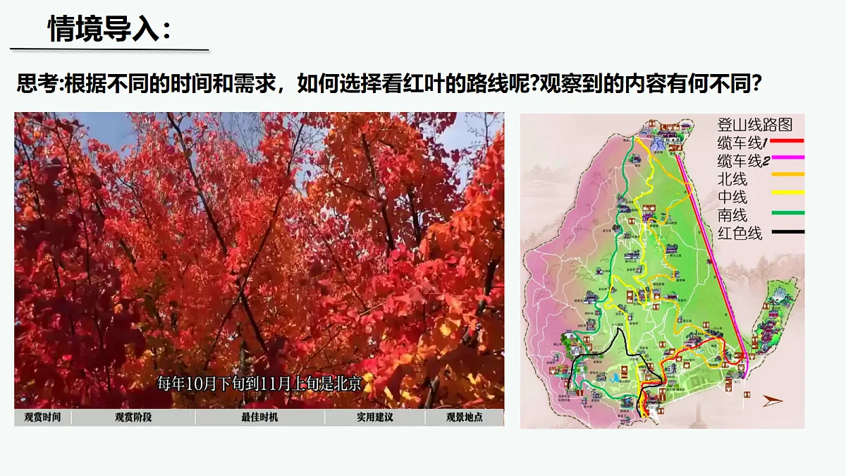 17398871第3页