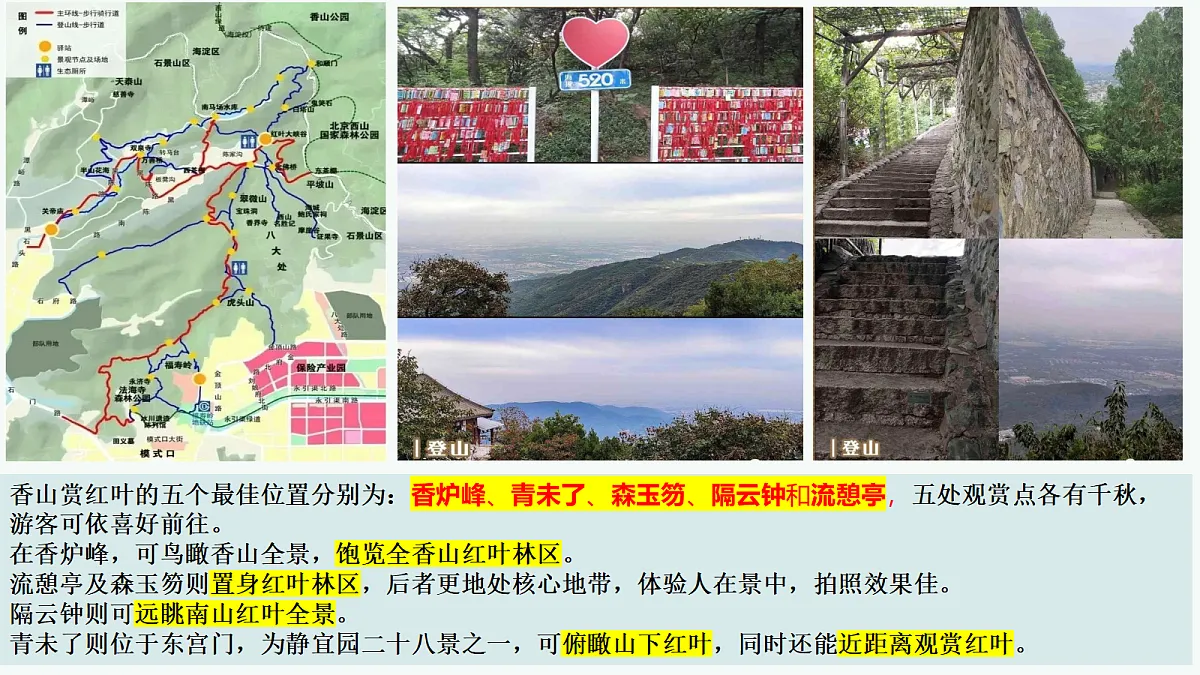 17398871第4页