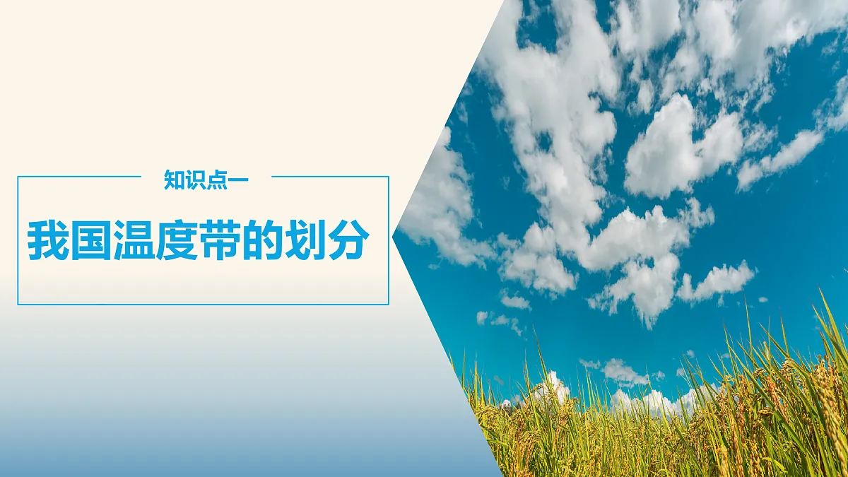 17399297第5页