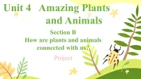 初中英语Unit 4 Amazing Plants and Animals Section B Project示范课课件ppt