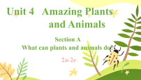 英语八年级上册（2024）Unit 4 Amazing Plants and Animals Section A 2a-2e教案配套课件ppt