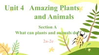 英语八年级上册(2024)Unit 4 Amazing Plants and Animals Section A 2a-2e教案配套课件ppt