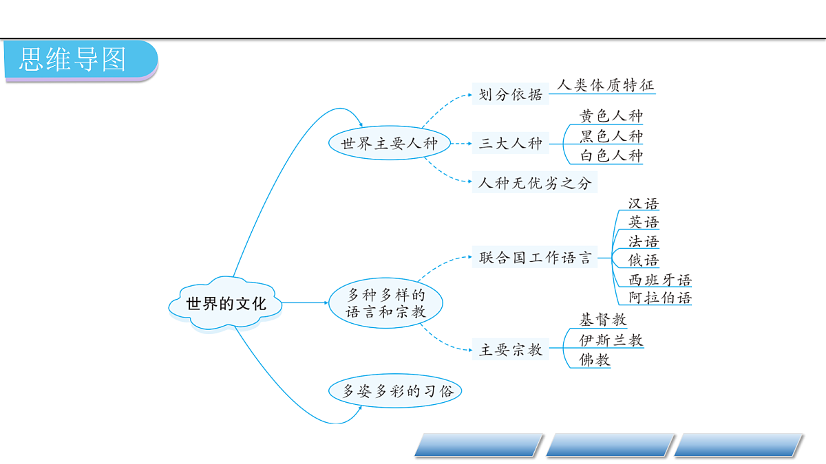 17401288第3页