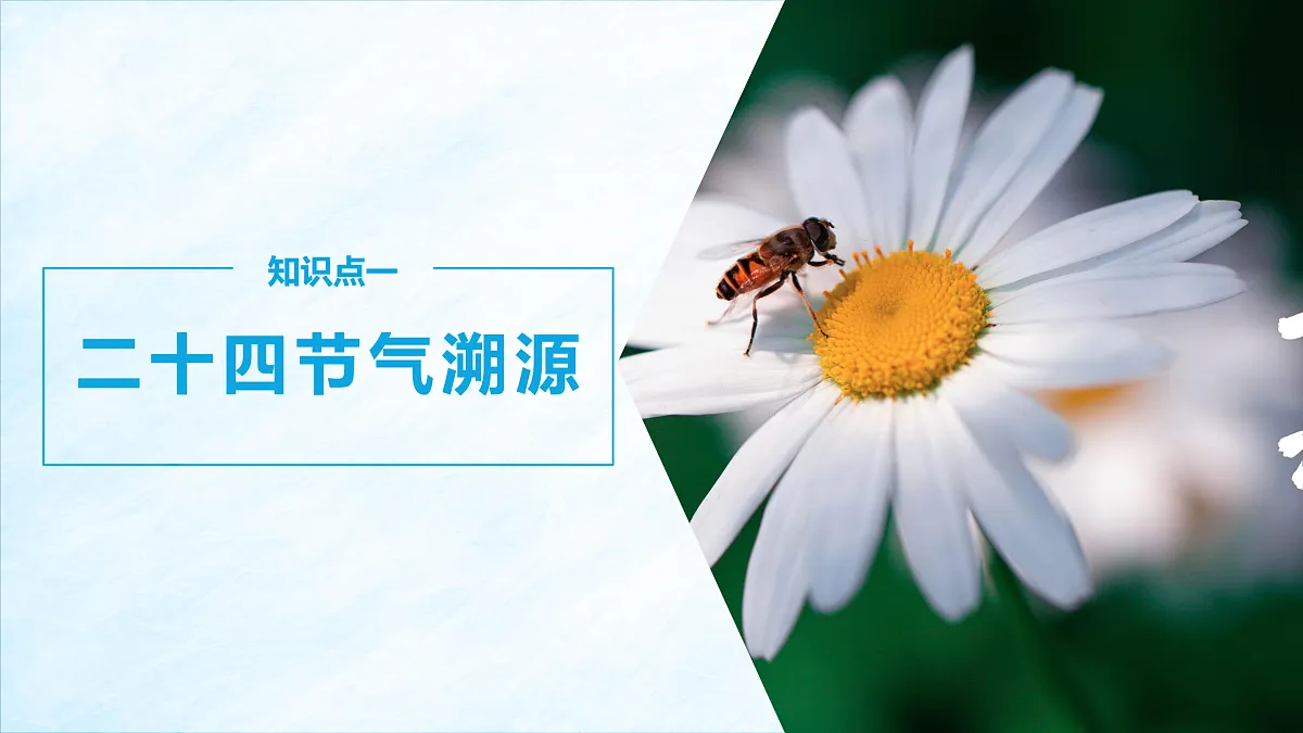 17401414第7页