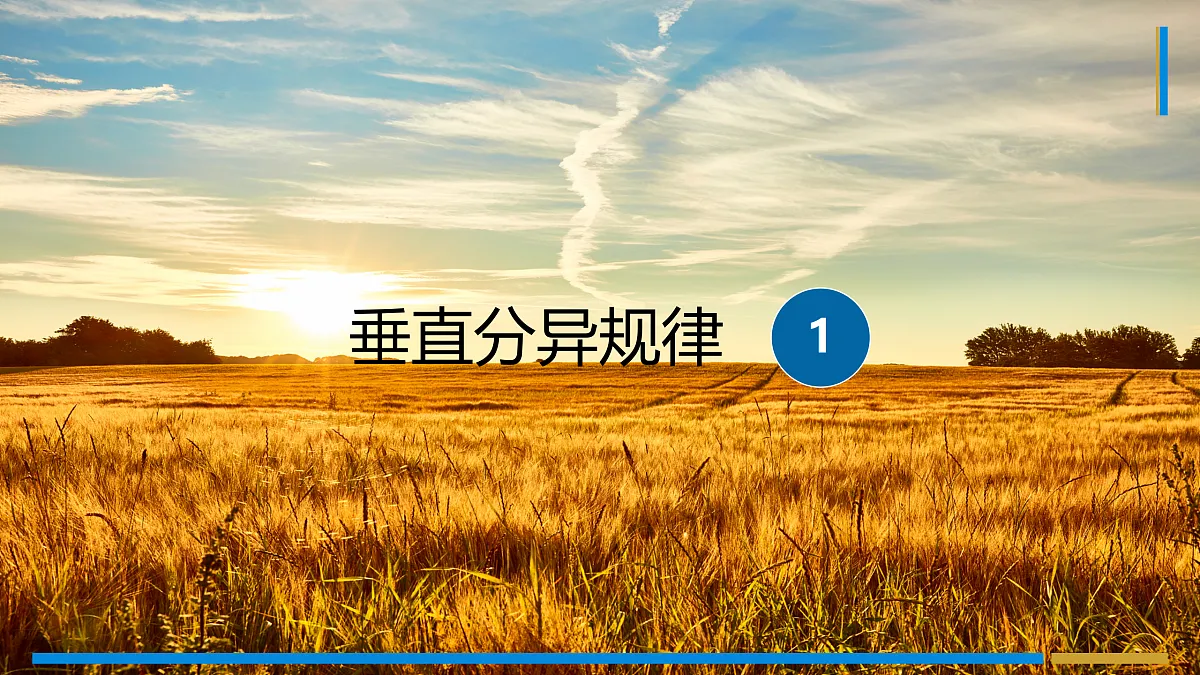 17401416第4页