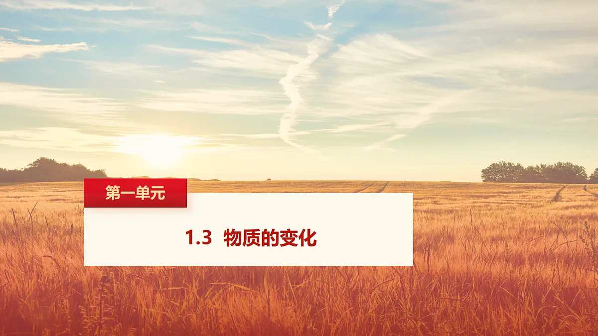 17401823第1页