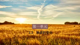1.3 物质的变化(教学课件）-初中化学科粤版（2024）九年级上册