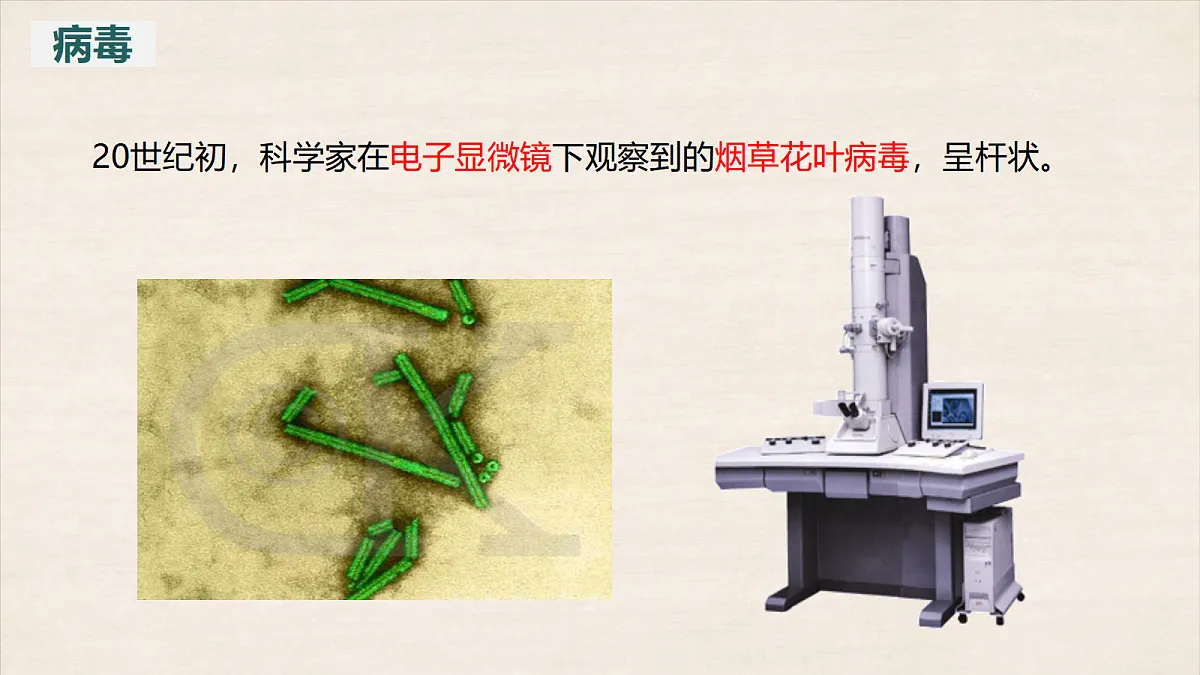 17401952第5页