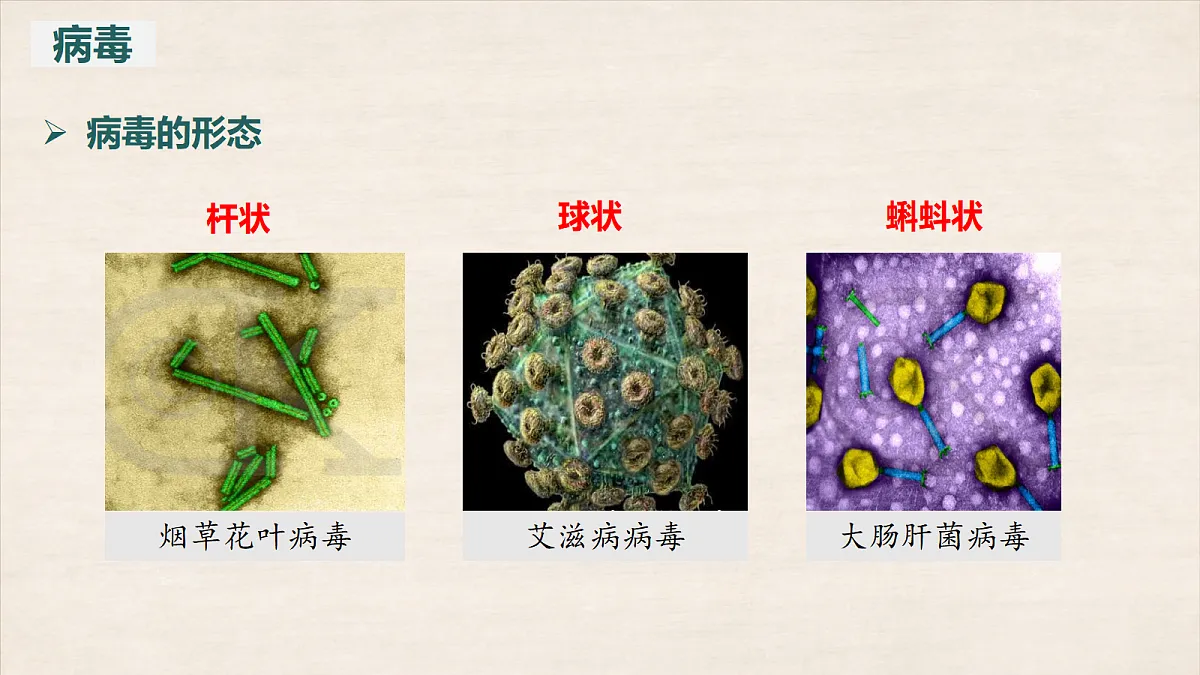17401952第6页