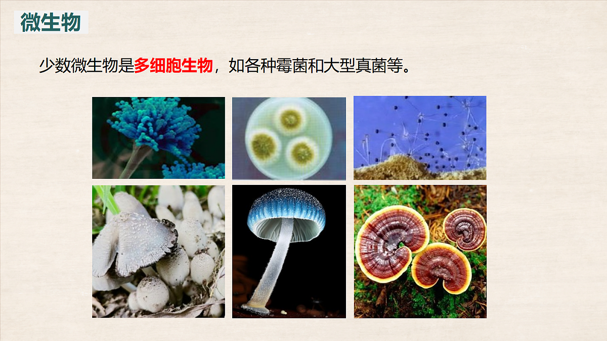 17401953第7页