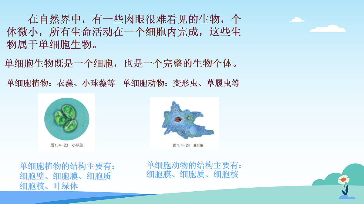 17402334第7页