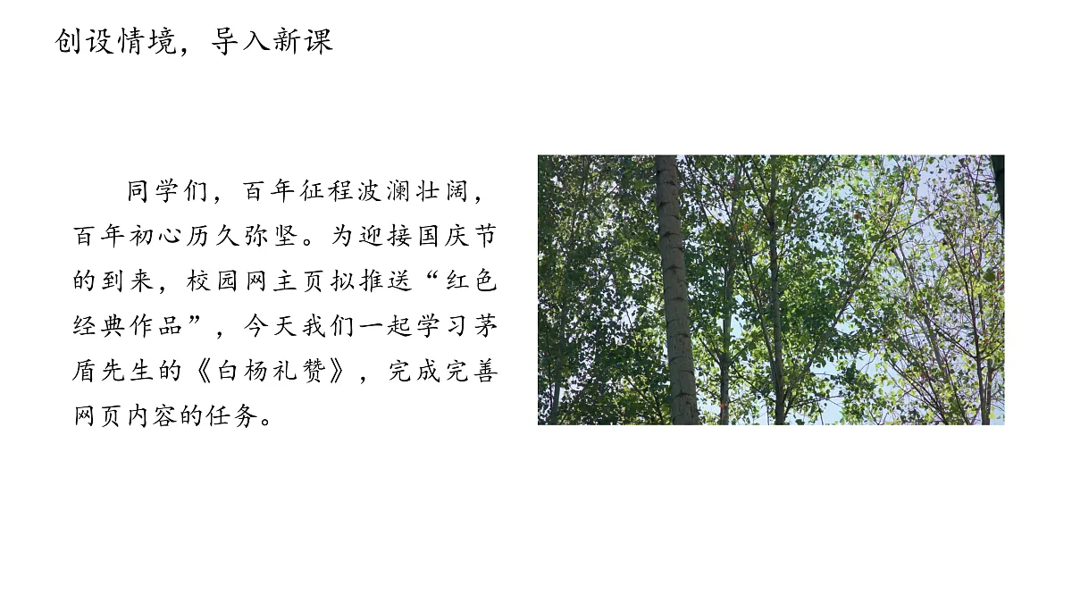 17403219第3页