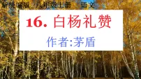初中语文人教部编版（2024）八年级上册（2024）16 白杨礼赞/茅盾课文内容课件ppt