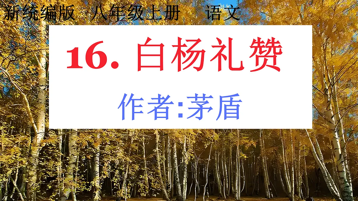 17403227第1页