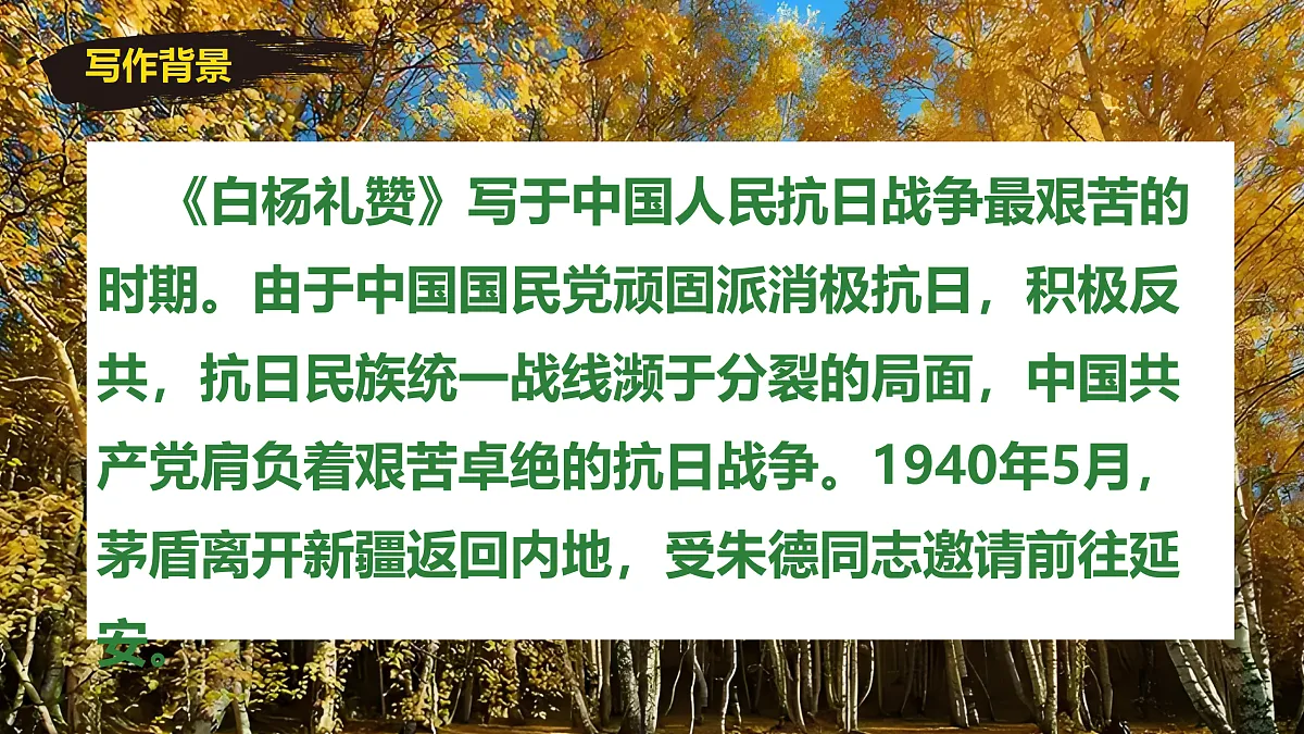 17403227第3页