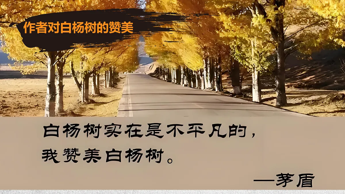 17403227第4页