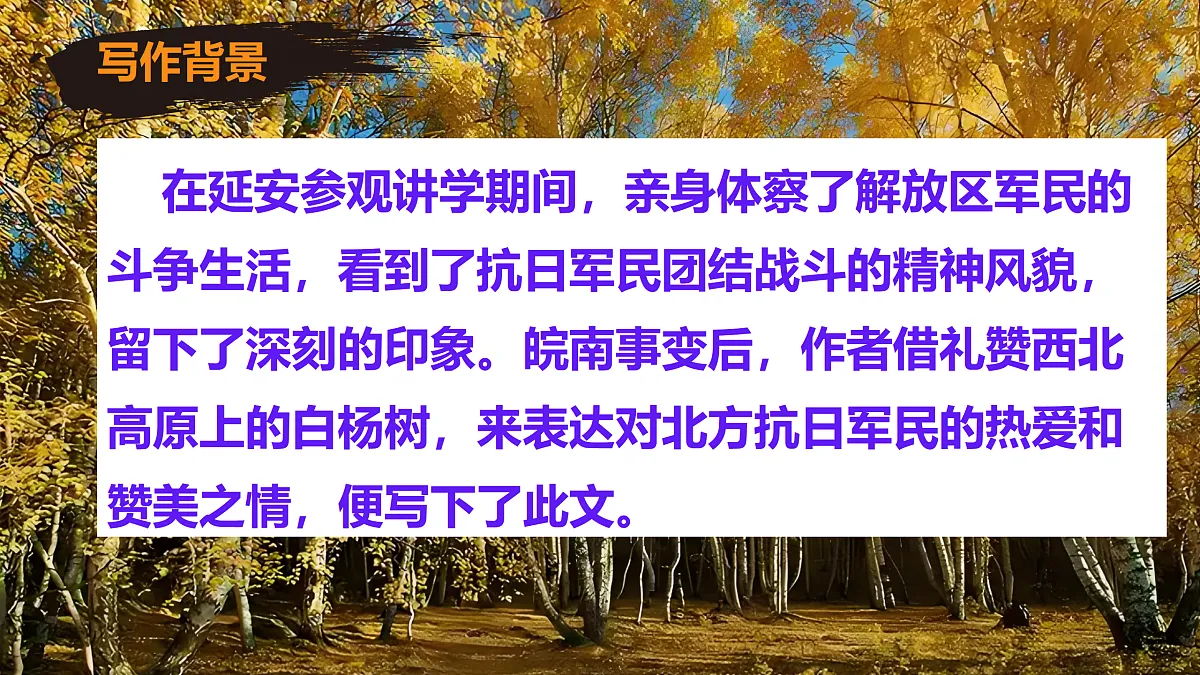 17403227第5页